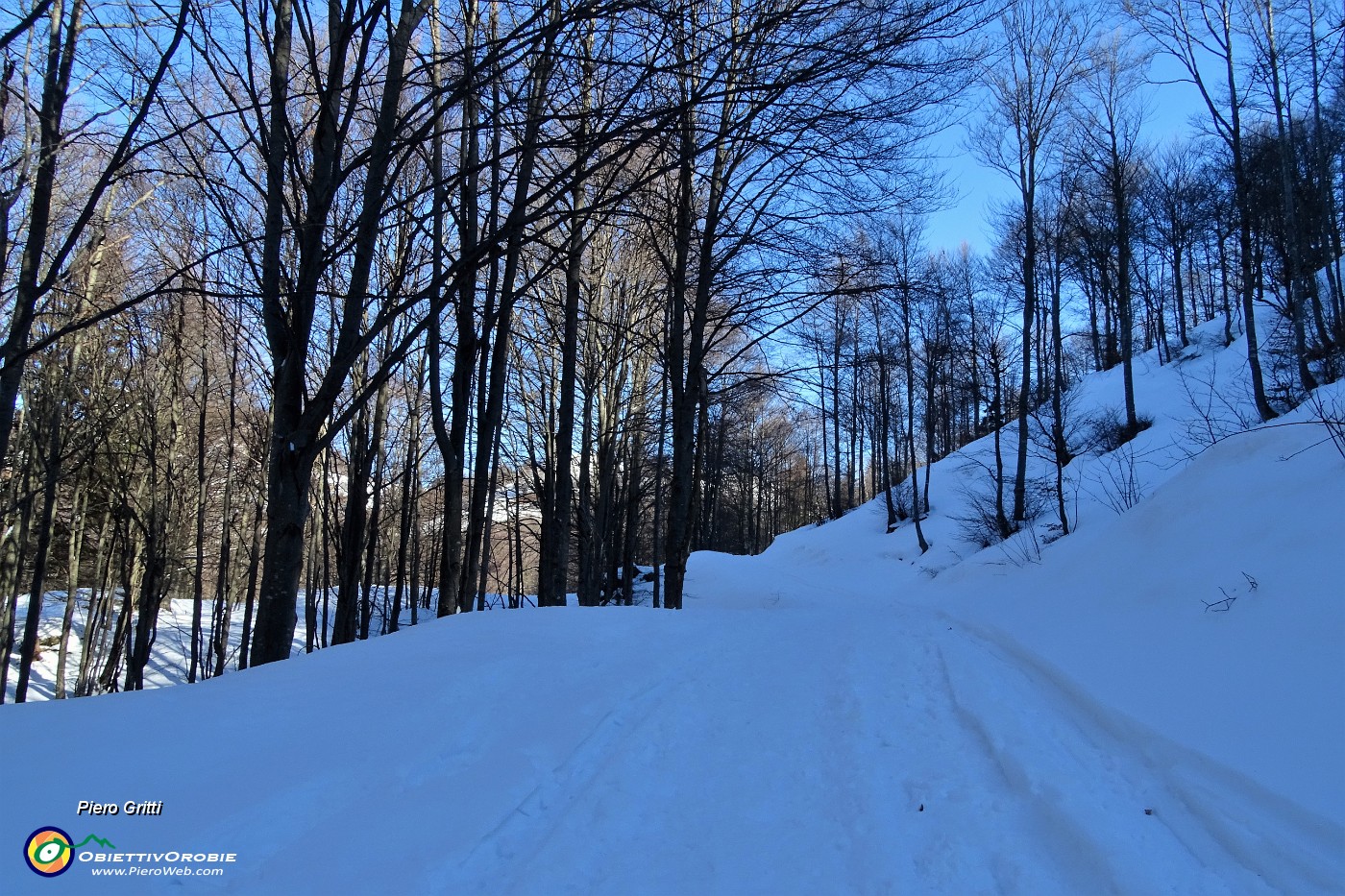 30 Nella ombrosa innevata faggeta.JPG